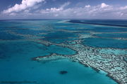 Great Barrier Reef: Hardy Reef - Heart Reef